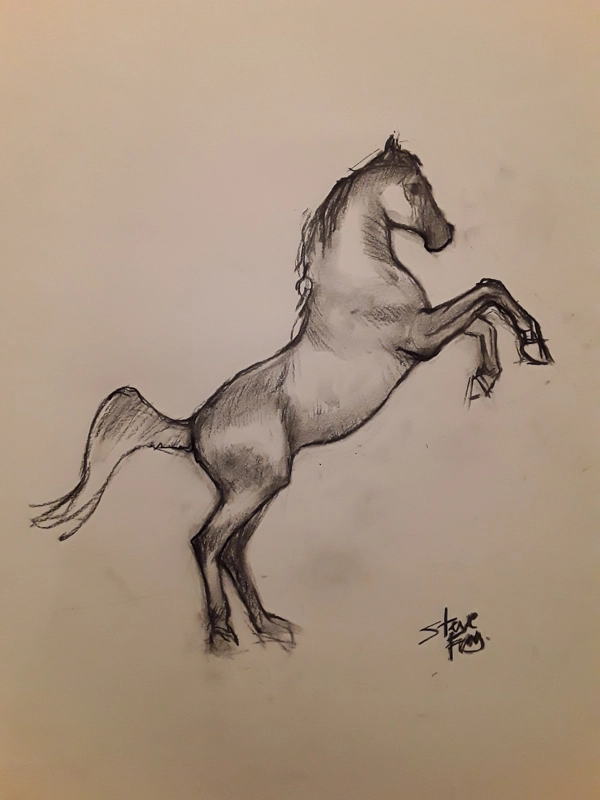 Horse sketch3
