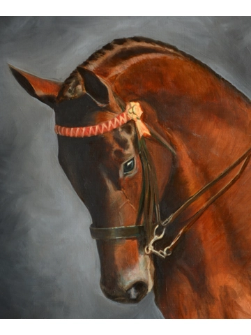 Dressage 70 x 50cm