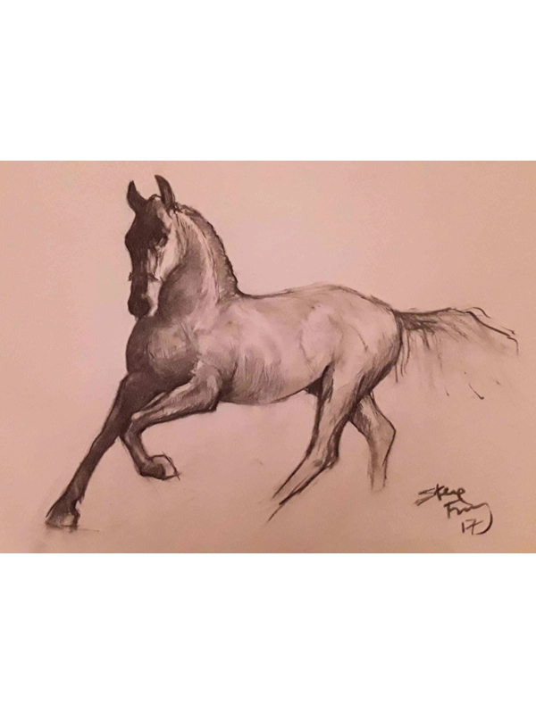 Horse sketch