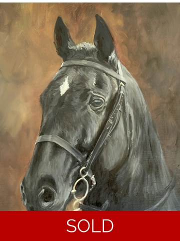 Black horse. Oil on canvas sheet. 50 x 40cm
