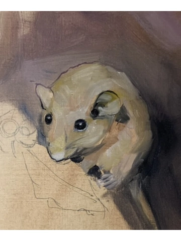 Dormouse
