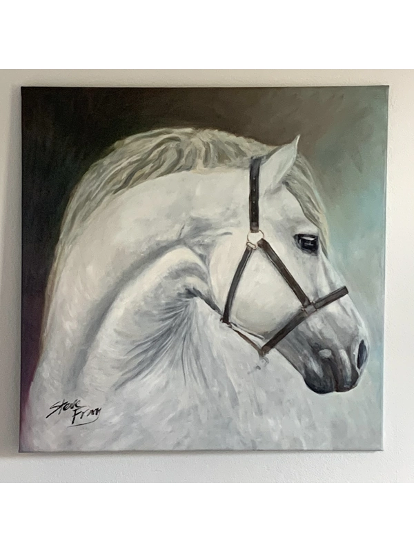 White horse turning 80 x 80cm