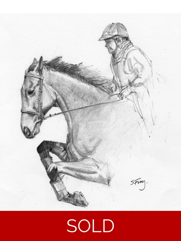 Horse sketch4