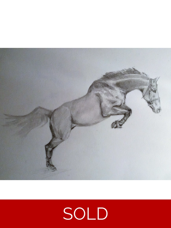Horse sketch1