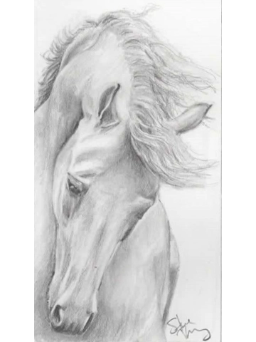 Horse sketch2