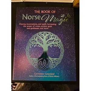 The Book of Norse Magic..
