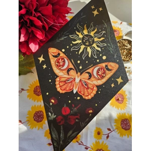 Sun Butterfly Wall Art