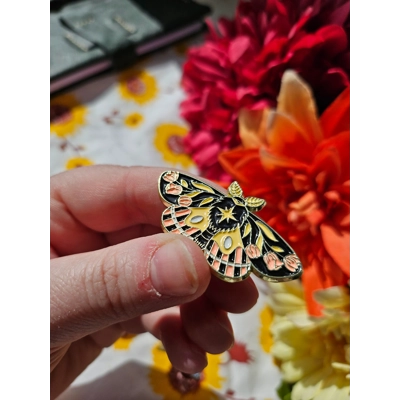 Moth and Butterfly