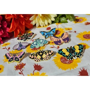 Moth and Butterfly