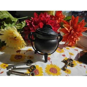 Cast Iron Cauldron
