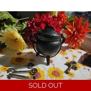 Cast Iron Cauldron