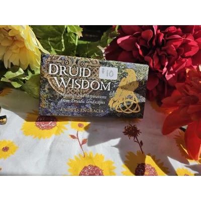 Druid Wisdom Mini Deck – Andres Engracia