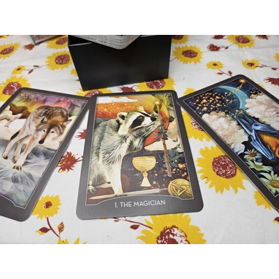 The Guardian of the Night Tarot