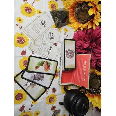 Mushroom Affirmations