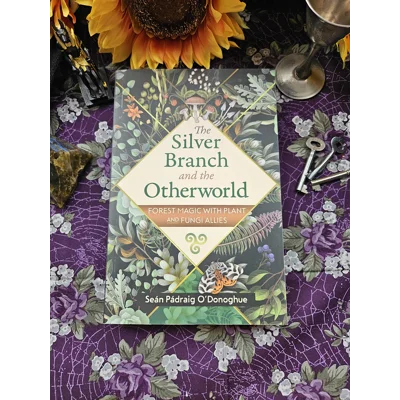 The Silver Branch and the Otherworld - Sean Padraig O'Donoghue The Silver Branch and the Otherworld - Sean Padraig O'Donoghue