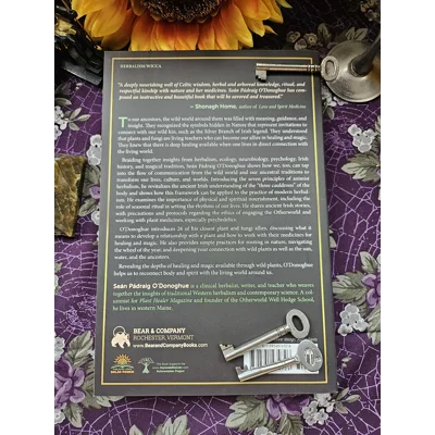 The Silver Branch and the Otherworld - Sean Padraig O'Donoghue The Silver Branch and the Otherworld - Sean Padraig O'Donoghue