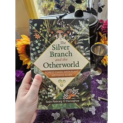 The Silver Branch and the Otherworld - Sean Padraig O'Donoghue The Silver Branch and the Otherworld - Sean Padraig O'Donoghue