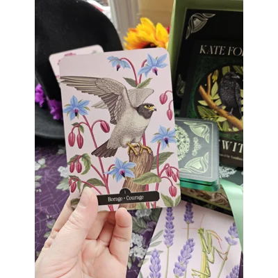 Hedgewitch Oracle – Kate Forsyth & Vasilisa Romanenko Hedgewitch Oracle – Kate Forsyth & Vasilisa Romanenko