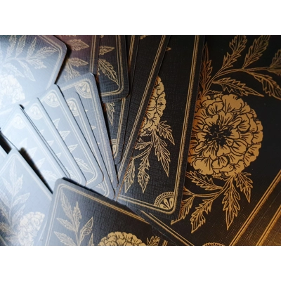 Mediumship Card Reading