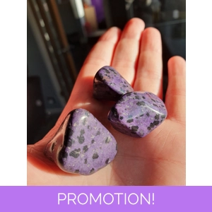 Purple Dalmation Jasper