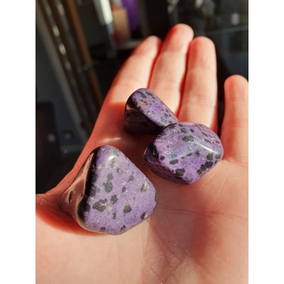 Purple Dalmation Jasper