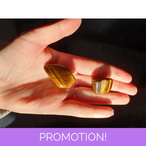 Tigers eye