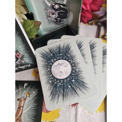 Witches Familar Runic Oracle Witches Familar Runic Oracle