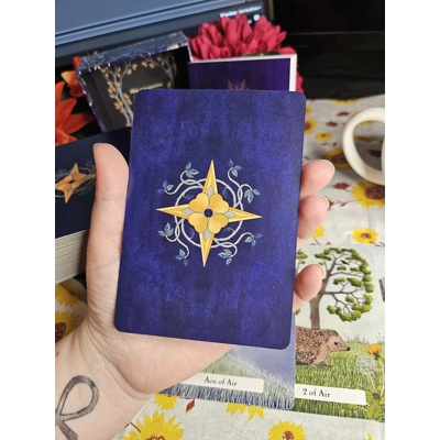 The Witches' Wisdom Tarot