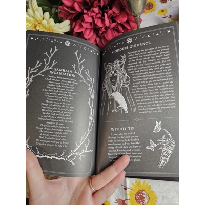 2026 Witch's Dairy 2026 Witch's Dairy