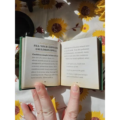 The Witches' Wealth Spell Book - Cerridwen Greenleaf The Witches' Wealth Spell Book - Cerridwen Greenleaf