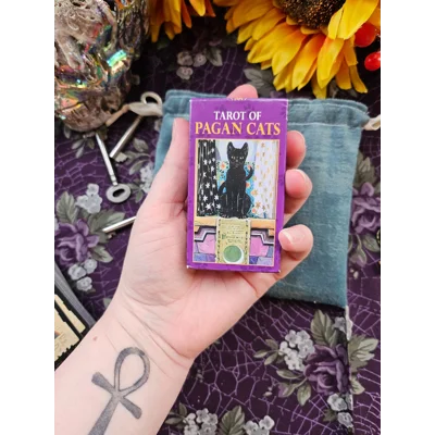 Mini Velvet Tarot Bag