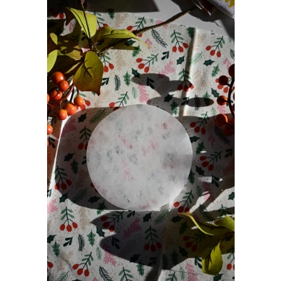 Selenite Charging Plate (9 cm) Selenite Charging Plate (9 cm)