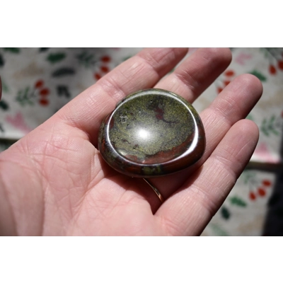 Bloodstone Worry Stone