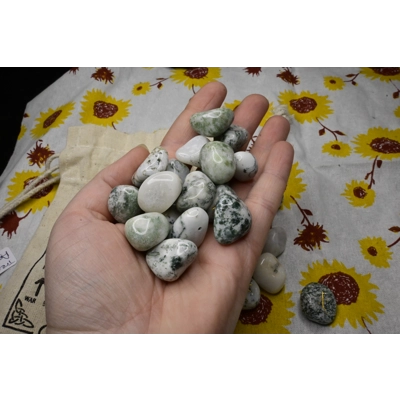 Tree Agate Runes