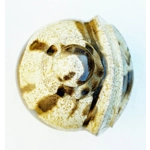 Porthleven Pottery Salt Pig, Fosspotz Studio, Handmade In Cornwall UK.