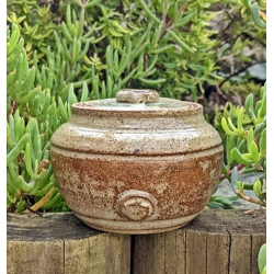 Studio Pottery Fossil & Scallop Shell Mustard Pot.