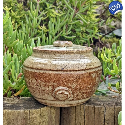 Studio Pottery Fossil & Scallop Shell Mustard Pot.