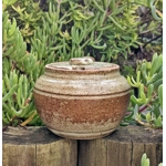 Studio Pottery Fossil & Scallop Shell Mustard Pot.