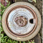 Studio Pottery Fossil & Scallop Shell Mustard Pot.