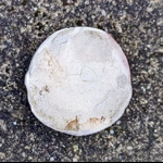 Yunomi | Raku Pottery-Tea Cup - Wood Fired Ceramics UK