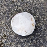 Yunomi | Raku Pottery-Tea Cup - Wood Fired Ceramics UK