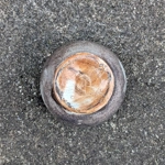 Fishley Holland Pottery | Pot Pourri Pot-Fish Design.