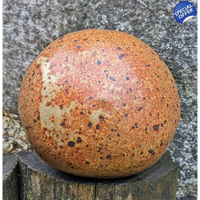 Studio Pottery Pebble | Rustic Cornish - Stoneware Ceramics