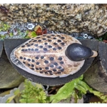 Animal Friends Pottery | Mallard Duck, [Circa 1977-1980]