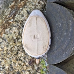 Animal Friends Pottery | Mallard Duck, [Circa 1977-1980]