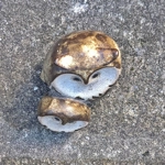 Animal Friends Pottery | Owl & Baby Owl - [Circa 1977-1980]