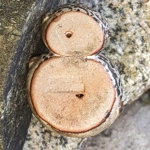 Animal Friends Pottery | Owl & Baby Owl - [Circa 1977-1980]