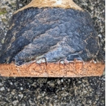 British Studio Pottery | Bud Vase - Mystery Ceramics UK