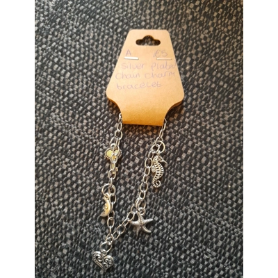 Charm bracelet mixed charms