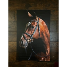 Horse oil paint, Horse Giclee Print, Horse canvas, High Resolution Horse Print, Animal Canvas Print,